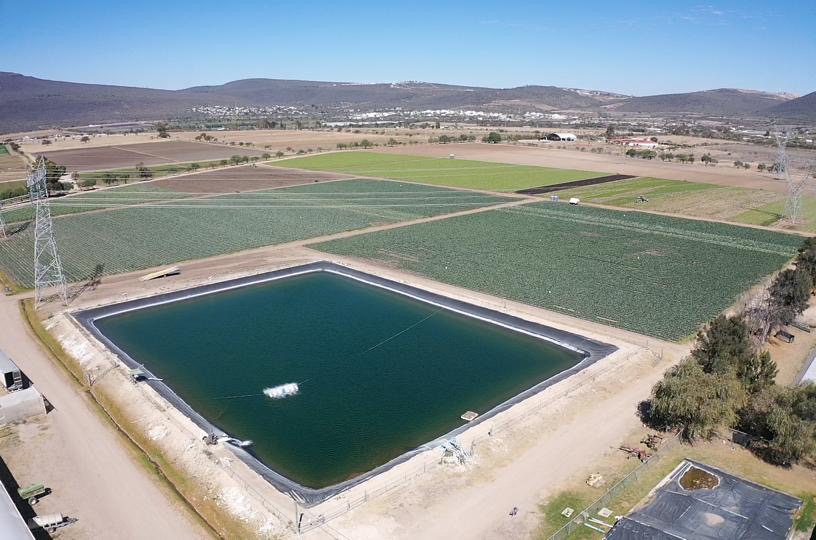 Agrohortalizas El Milagro Queretaro