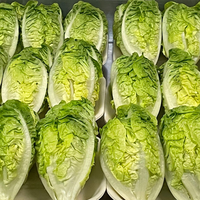 Corazones de Lechuga